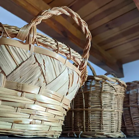 Casa Maite Rioseco de Soria