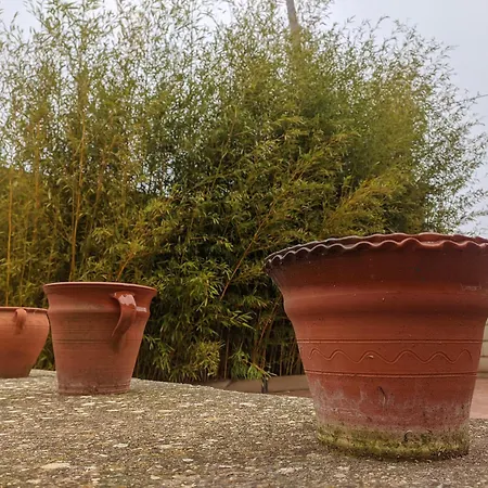 Casa Maite Σπίτι διακοπών Rioseco de Soria