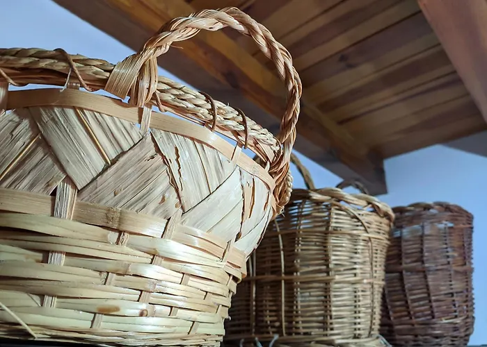 Casa Maite Rioseco de Soria