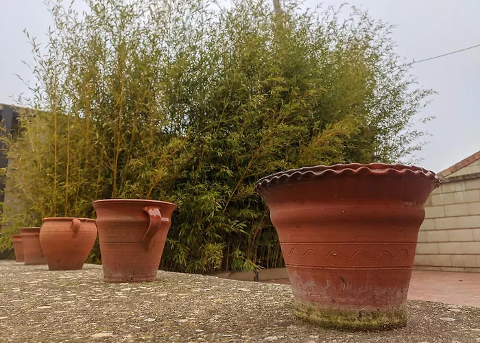 Casa Maite Feriehus Rioseco de Soria